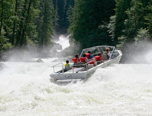 Whistler Jet Boating